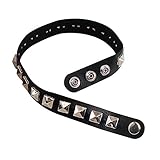 Bristol Novelty- Gargantilla con Tachuelas | Negro Punk, Color Plata, Talla única (BA185)
